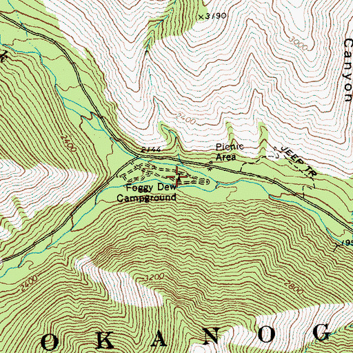 Topographic Map of Foggy Dew Campground, WA