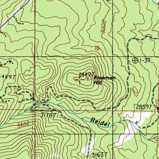 Topographic Map of Freeman Hill, WA