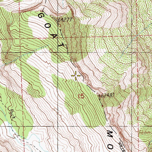 Topographic Map of Goat Mountain, WA
