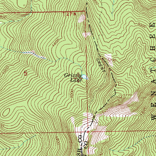 Topographic Map of Grizzly Lake, WA