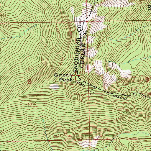 Topographic Map of Grizzly Peak, WA