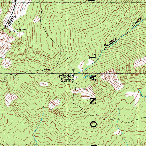 Topographic Map of Hidden Spring, WA