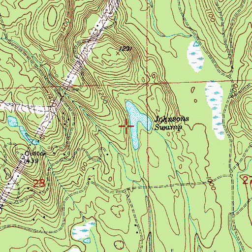 Topographic Map of Johnsons Swamp, WA