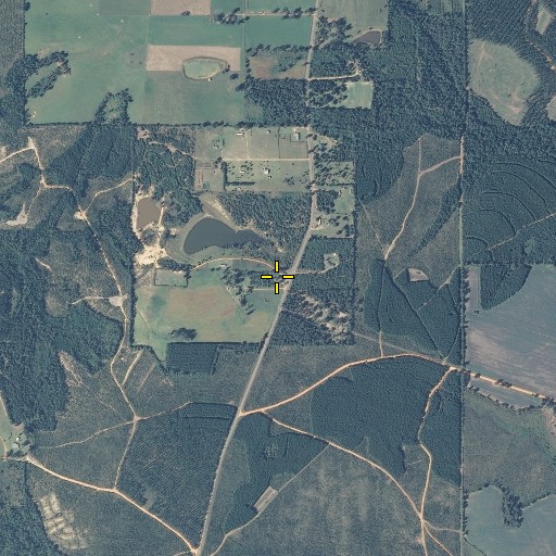 Aerial/Satellite Image of Magnolia Baptist Church, AL