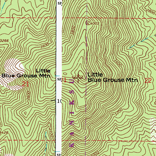 Topographic Map of Little Blue Grouse Mountain, WA