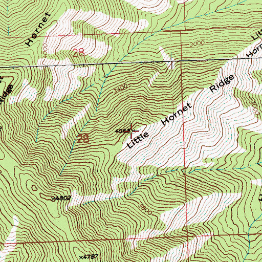 Topographic Map of Little Hornet Ridge, WA