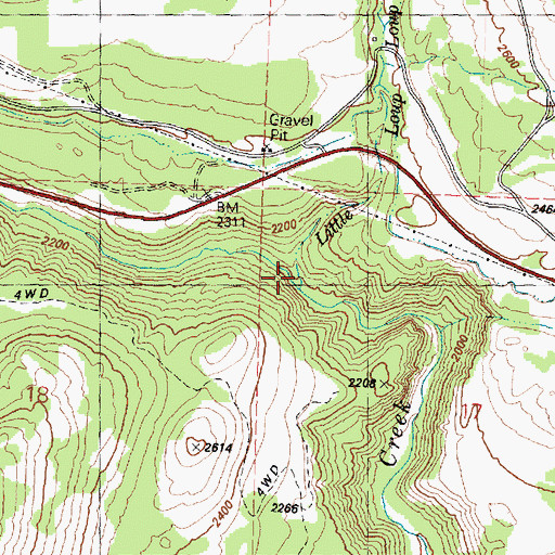 Topographic Map of Little Loup Loup Creek, WA