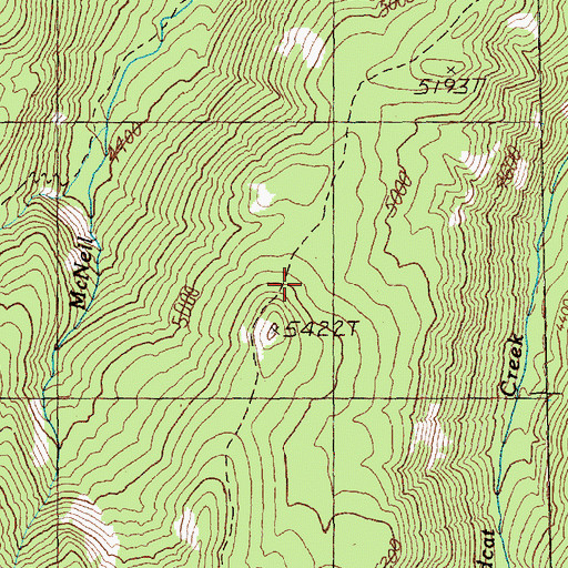 Topographic Map of Little Wildcat Trail, WA