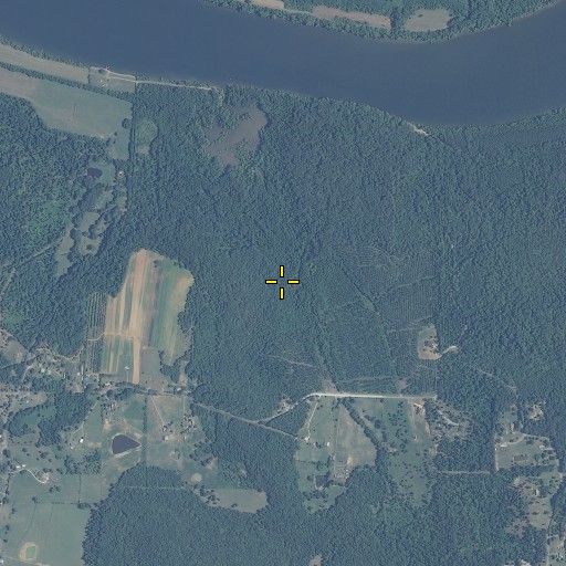 Aerial/Satellite Image of Mascus Spring, AL