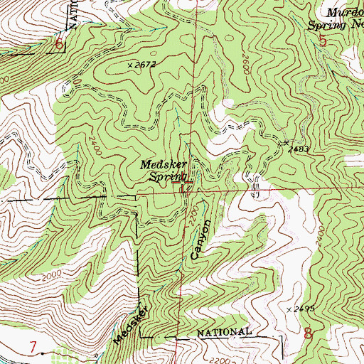 Topographic Map of Medsker Spring, WA