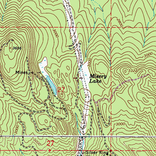 Topographic Map of Misery Lake, WA