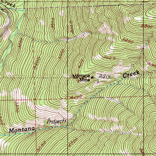 Topographic Map of Montana Mine, WA