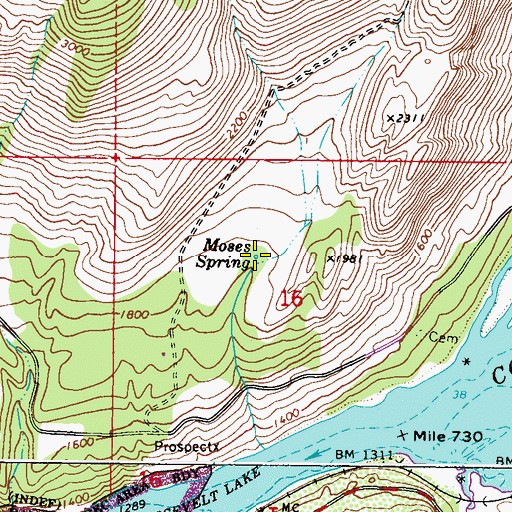Topographic Map of Moses Spring, WA