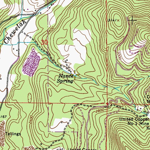 Topographic Map of Nance Spring, WA