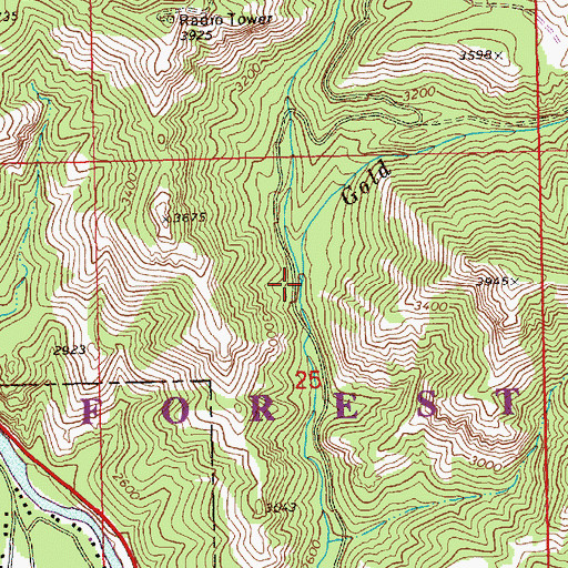 Topographic Map of North Fork Gold Creek, WA