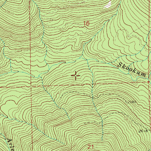 Topographic Map of Orsino Creek, WA