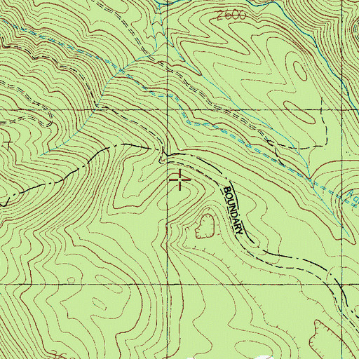 Packwood Lake Trail, WA
