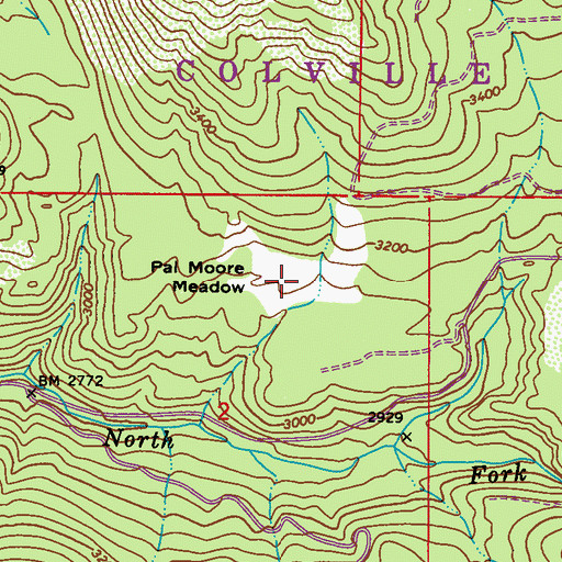 Topographic Map of Pal Moore Meadow, WA