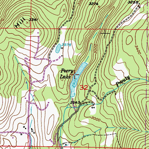 Topographic Map of Peery Lake, WA