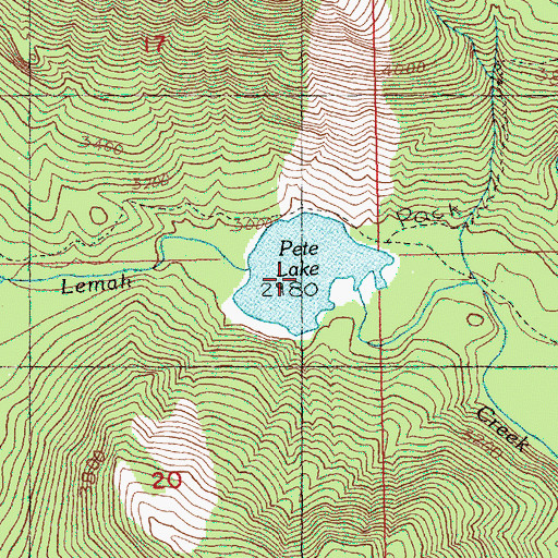 Topographic Map of Pete Lake, WA
