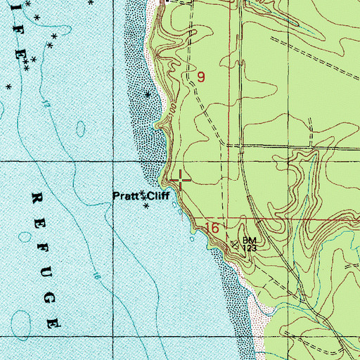 Topographic Map of Pratt Cliff, WA
