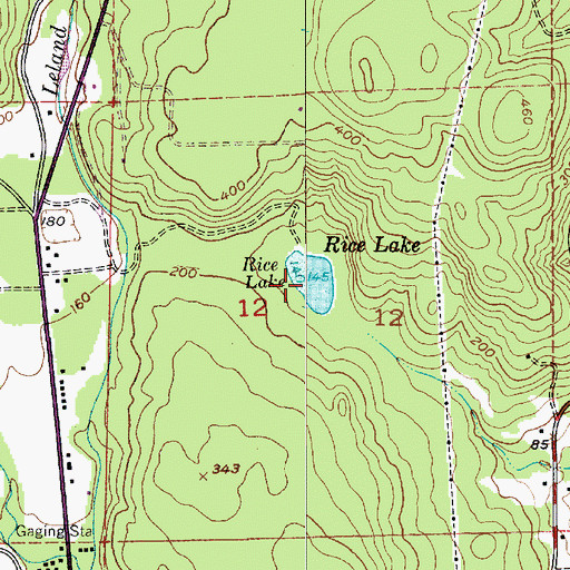 Topographic Map of Rice Lake, WA