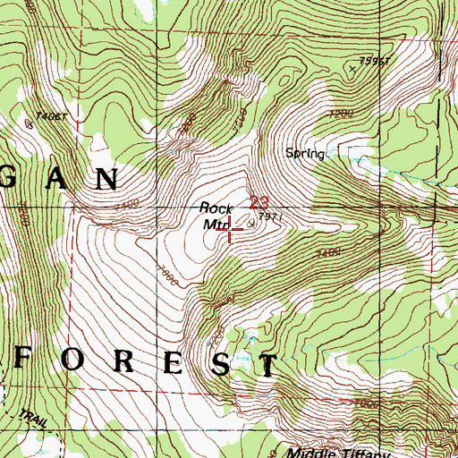 Topographic Map of Rock Mountain, WA