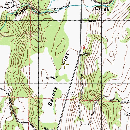 Topographic Map of Saints Flat, WA