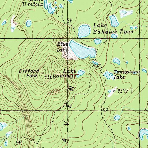 Topographic Map of Lake Sebago, WA