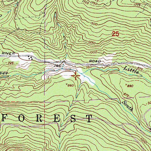 Topographic Map of South Branch Little River, WA