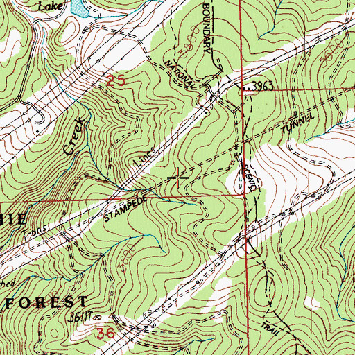 Topographic Map of Stampede Tunnel, WA