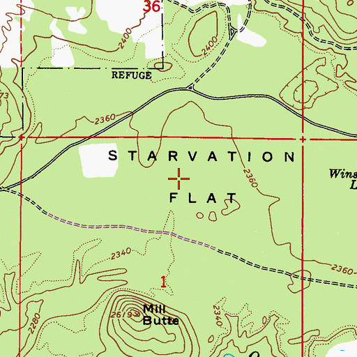 Topographic Map of Starvation Flat, WA