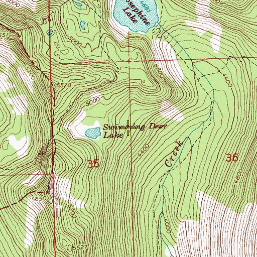 Topographic Map of Swimming Deer Lake, WA