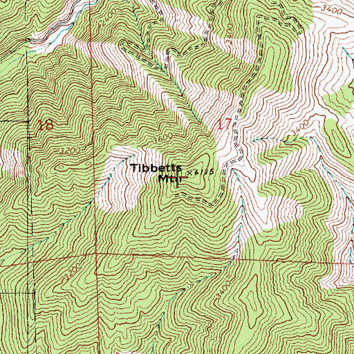 Topographic Map of Tibbetts Mountain, WA