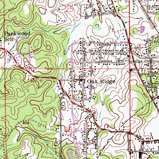 Topographic Map of Oakridge Baptist Church, AL