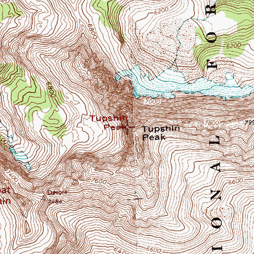 Topographic Map of Tupshin Peak, WA