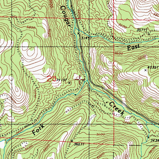 Topographic Map of West Fork Cougar Creek, WA