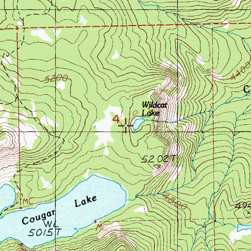 Topographic Map of Wildcat Lake, WA