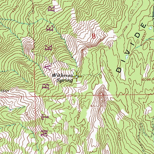 Topographic Map of Withrow Spring, WA
