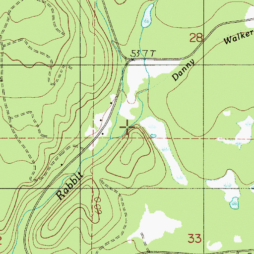 Topographic Map of Danny Walker Creek, WA
