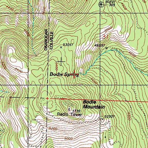 Topographic Map of Bodie Spring, WA