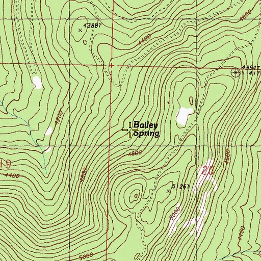 Topographic Map of Bailey Spring, WA