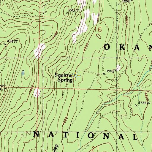 Topographic Map of Squirrel Spring, WA