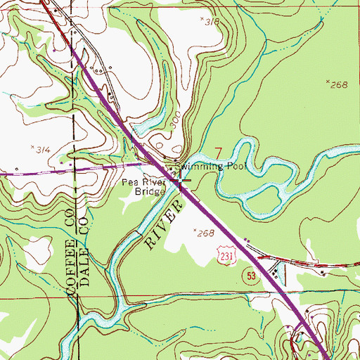 Topographic Map of Pea River Bridge, AL