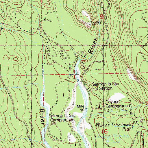 Topographic Map of Salmon la Sac, WA