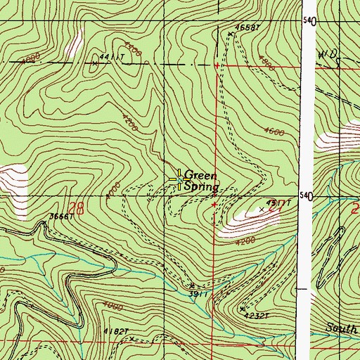 Topographic Map of Green Spring, WA