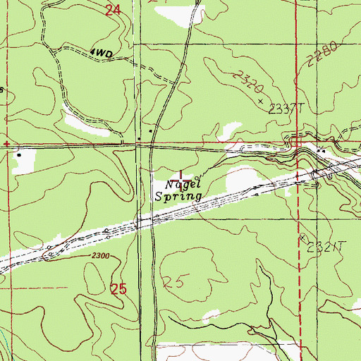 Topographic Map of Nagel Spring, WA