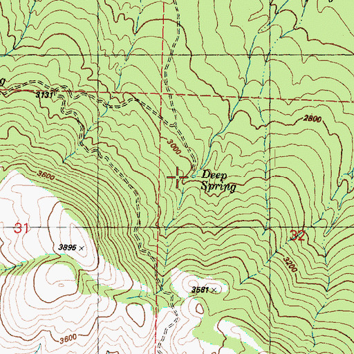 Topographic Map of Deep Spring, WA