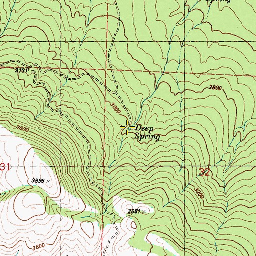 Topographic Map of Deep Spring, WA