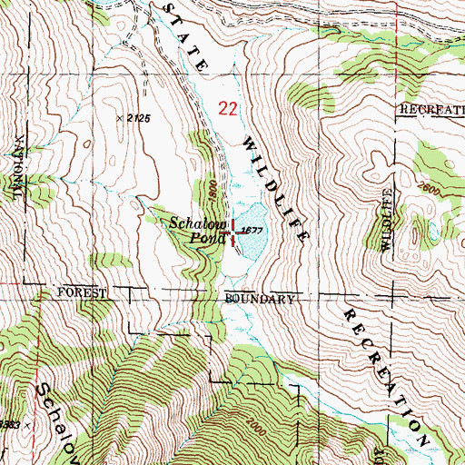 Topographic Map of Schalow Pond, WA